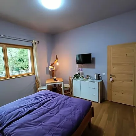 Orman Evi Gantrisch Ruschegg